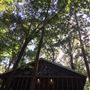 The Flying H Ranch