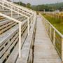 Charlie Taylor Rodeo Arena