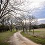 Montesino Ranch