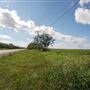 Cotton Fields on FM 1223