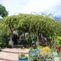 Chandor Gardens