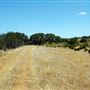 Old Ponderosa Ranch