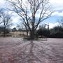National Ranching Heritage Center