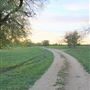 Morford Ranch