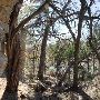 Milton Reimers Ranch County Park