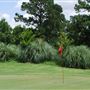 Wildcat Golf Course