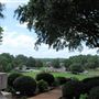 Reagan Park