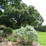 Reagan Park