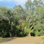 Waldhauser Property
