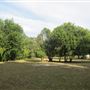 Waldhauser Property