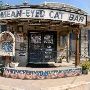 Mean Eyed Cat