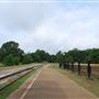 Texas State Railroad - Palestine Depot