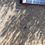 City of San Marcos Murals & Art