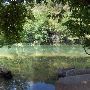 Red Bud Isle