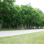 Bonnie Wenk Park