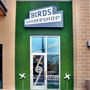 Birds Barbershop - Domain