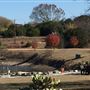 The Back Forty Ranch