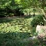 Clark Gardens Botanical Park