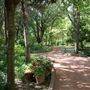 Clark Gardens Botanical Park
