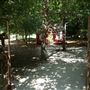 Clark Gardens Botanical Park