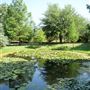 Clark Gardens Botanical Park