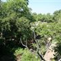Lake Mineral Wells State Park
