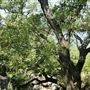 Lake Mineral Wells State Park