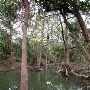 Medina River at Castroville Regional Park