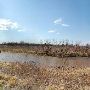 Miller Creek Ranch