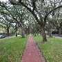 Broadacres Neighborhood - Between North and South Blvd
