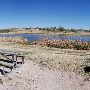 Mackenzie Park