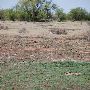 Mackenzie Park - Prairie Dog Town