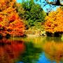 Clark Gardens Botanical Park