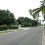 Palm Boulevard Neighborhood