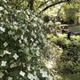 UMLAUF Sculpture Garden and Museum