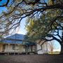 Lily Oaks