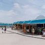 SeaWorld Adventure Park
