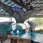 SeaWorld Adventure Park