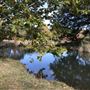 Hidden Springs Ranch