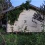 Rural Farm - Two House Property