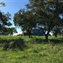 Bucking Beauty Farm