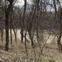Bastrop County Nature Park