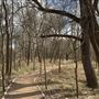 Bastrop County Nature Park
