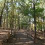 Synergy Park