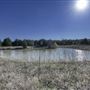 Rural Farm - Two House Property