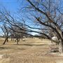 Miles City Park