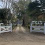 Pine Hall