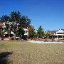 Market Street - The Woodlands