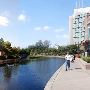 The Woodlands Waterway