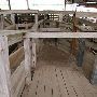 Navasota Livestock Auction